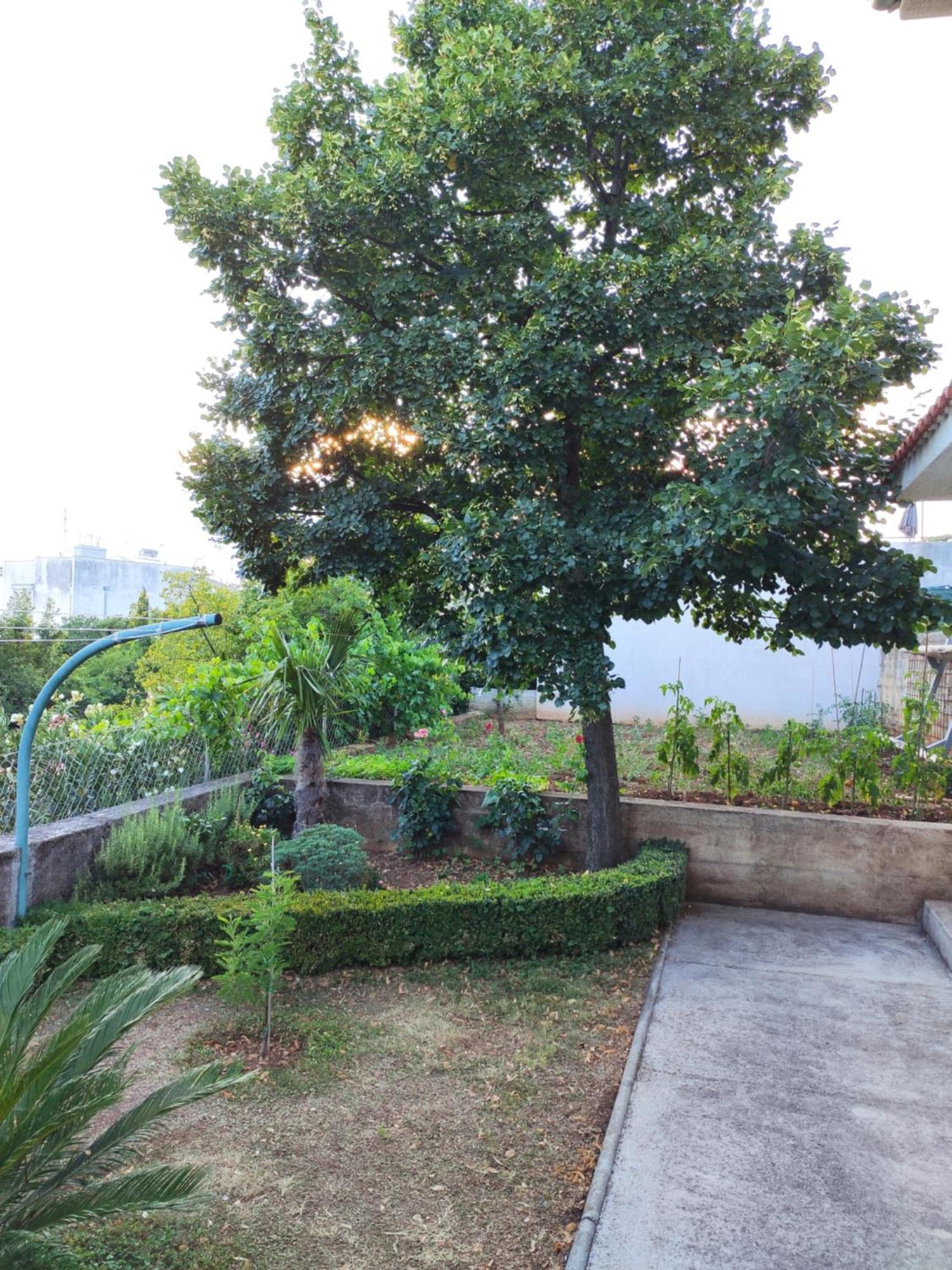 Apartment With Private Garden And The Terrace Ev Station Available Crikvenica Exteriér fotografie