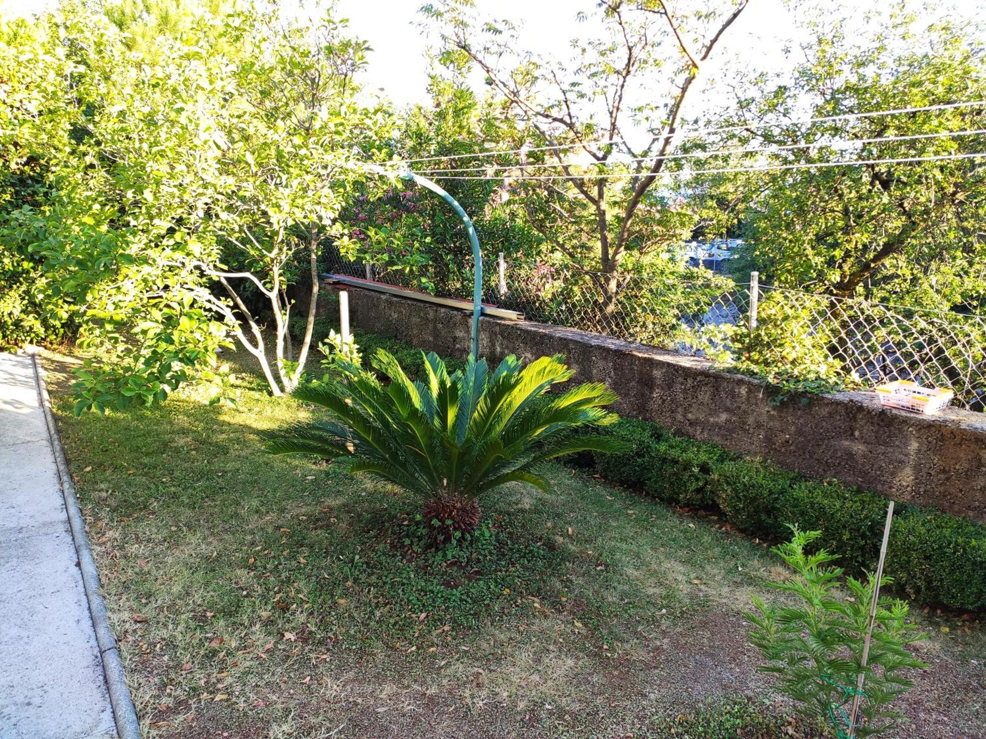 Apartment With Private Garden And The Terrace Ev Station Available Crikvenica Exteriér fotografie