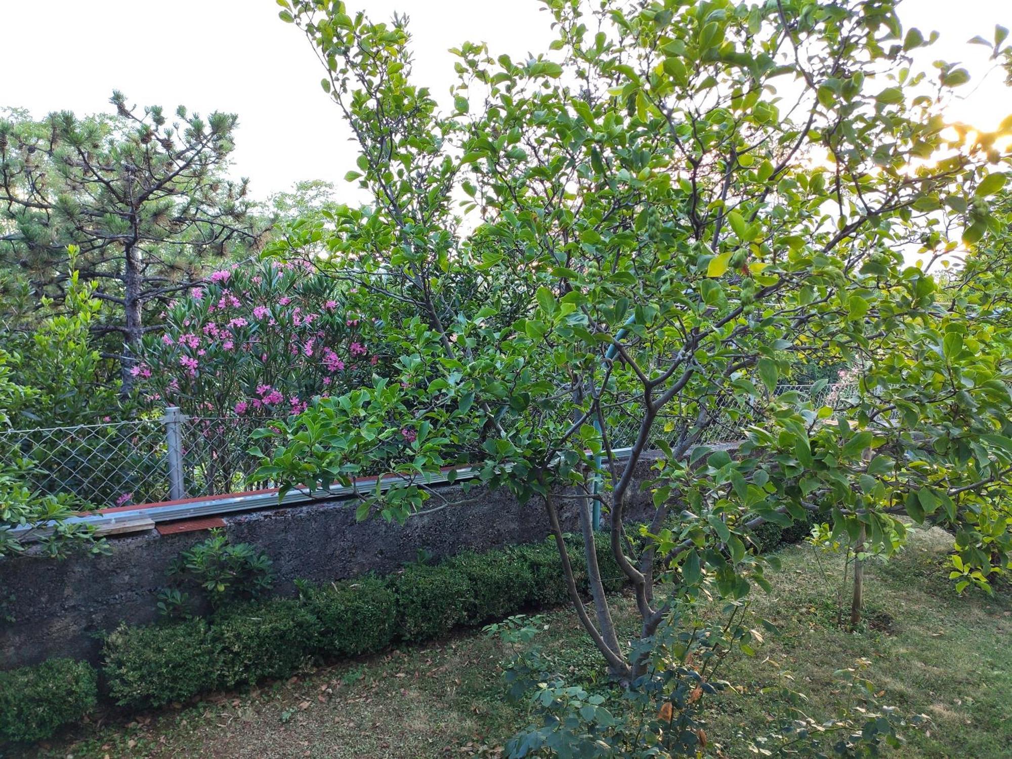 Apartment With Private Garden And The Terrace Ev Station Available Crikvenica Exteriér fotografie