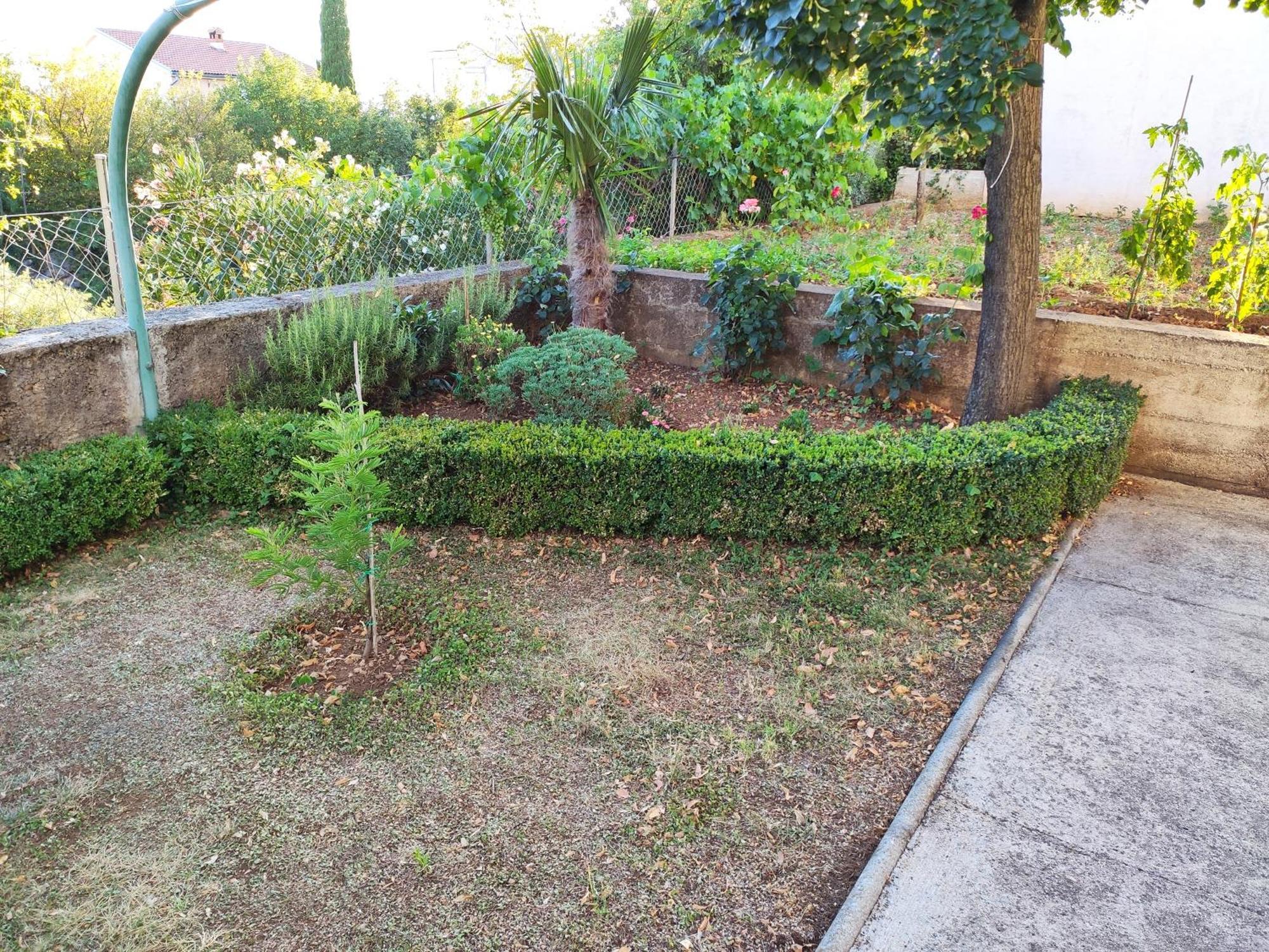 Apartment With Private Garden And The Terrace Ev Station Available Crikvenica Exteriér fotografie
